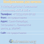 Петербургская Топливная Компания, АЗС # 106