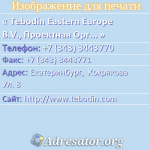Tebodin Eastern Europe B.V., Проектная Организация