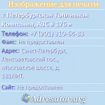 Петербургская Топливная Компания, АЗС # 176