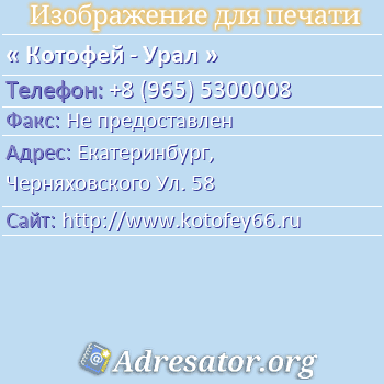 Котофей Тюмень Адреса Магазинов